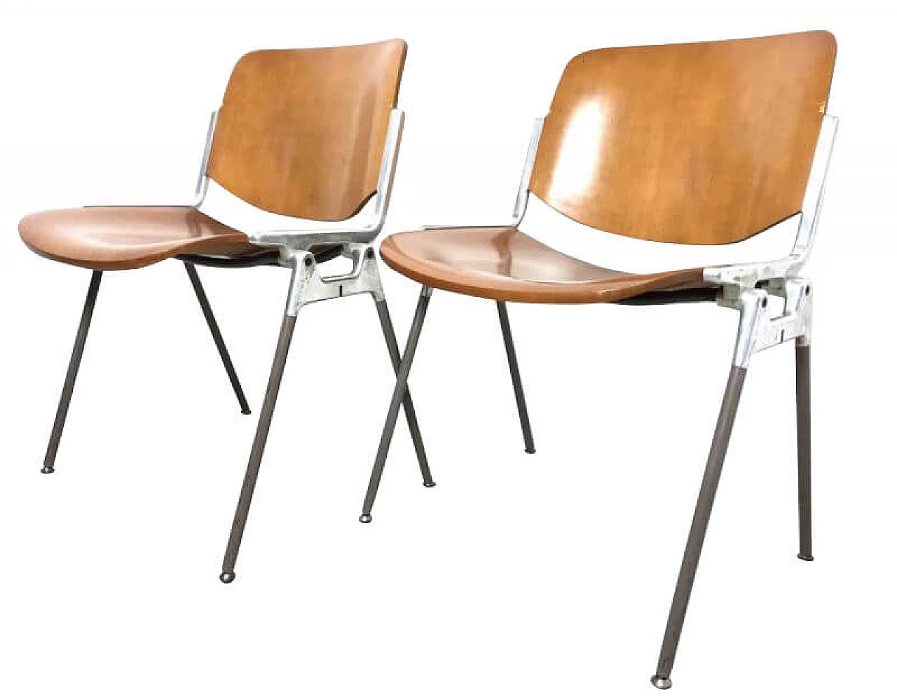 Pair of DSC 106 chairs in beechwood by Giancarlo Piretti for Anonima Castelli, 60s 1185485