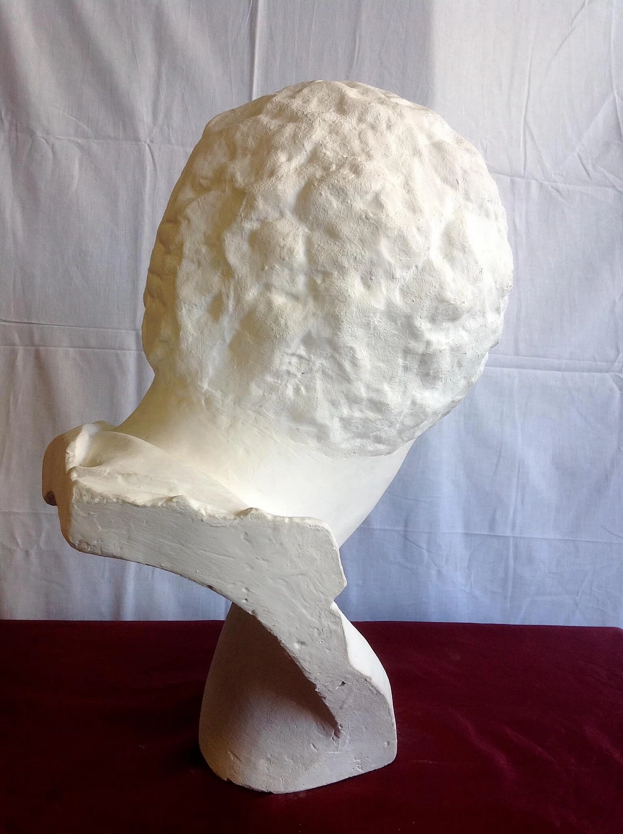 Busto in gesso, anni '50 1202265