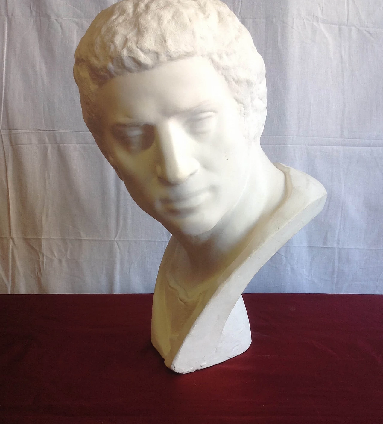 Busto in gesso, anni '50 1202267