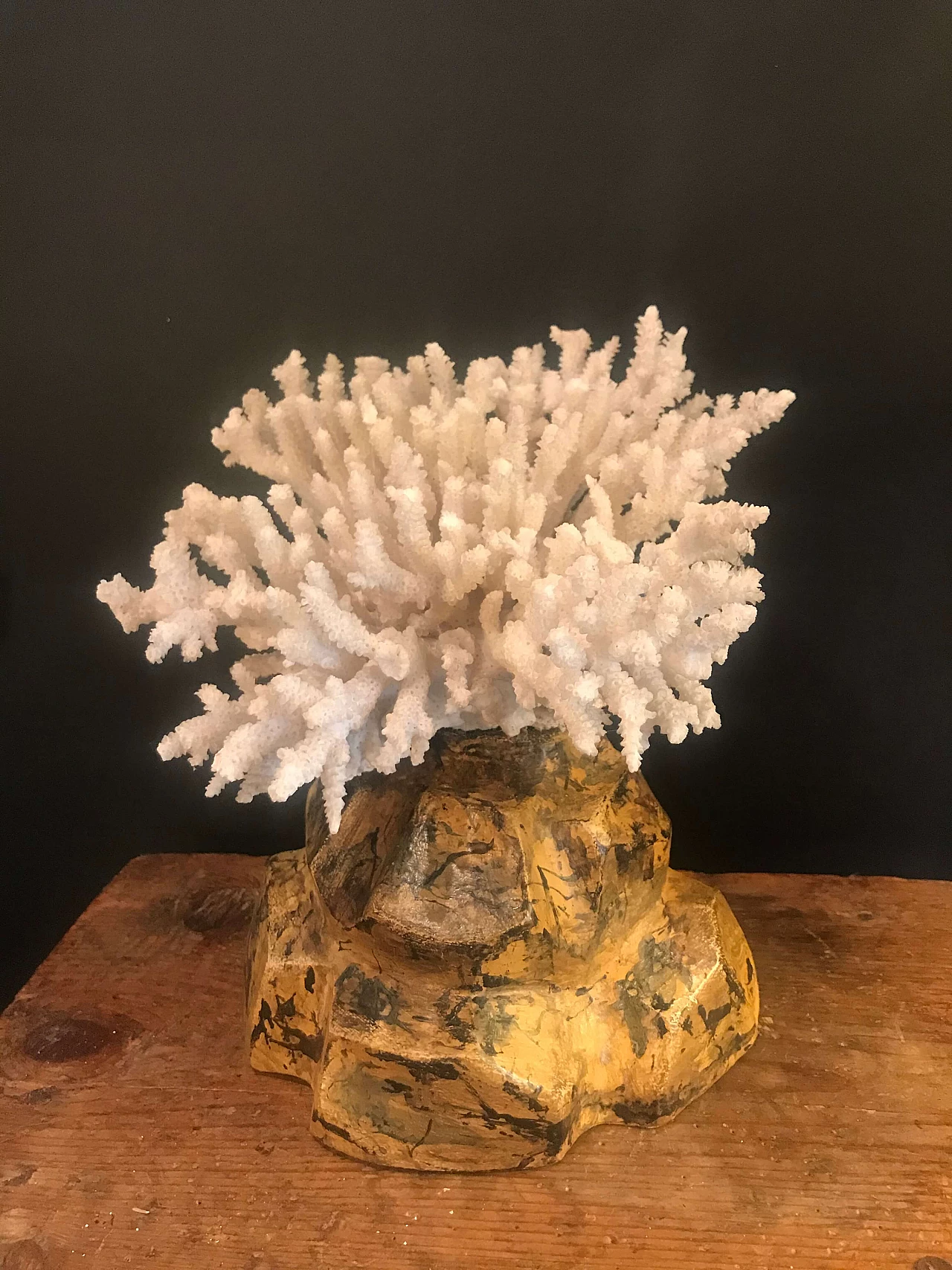 Coral on marbled wooden pedestal, late 19th century 1240390