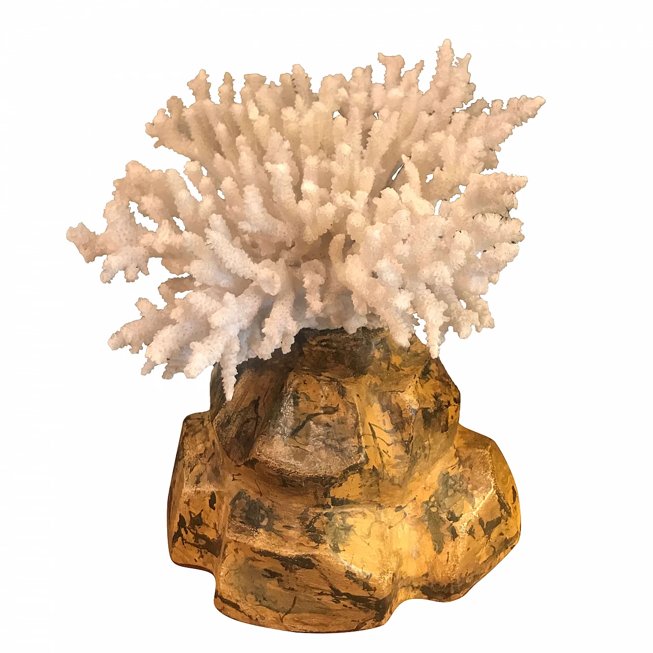 Coral on marbled wooden pedestal, late 19th century 1241167