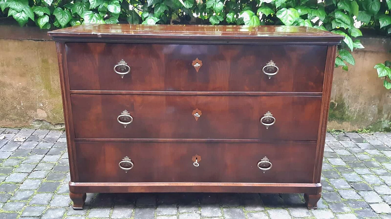 Biedermeier chest of drawers veneered in walnut and briar, 19th century 1303075