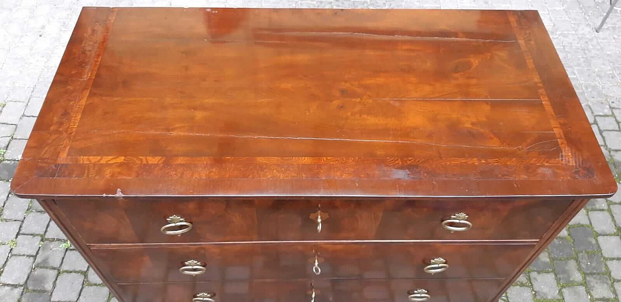 Biedermeier chest of drawers veneered in walnut and briar, 19th century 1303076