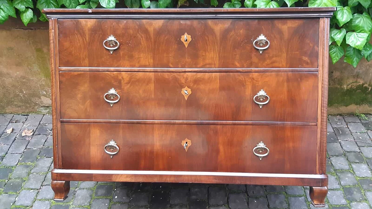 Biedermeier chest of drawers veneered in walnut and briar, 19th century 1303077