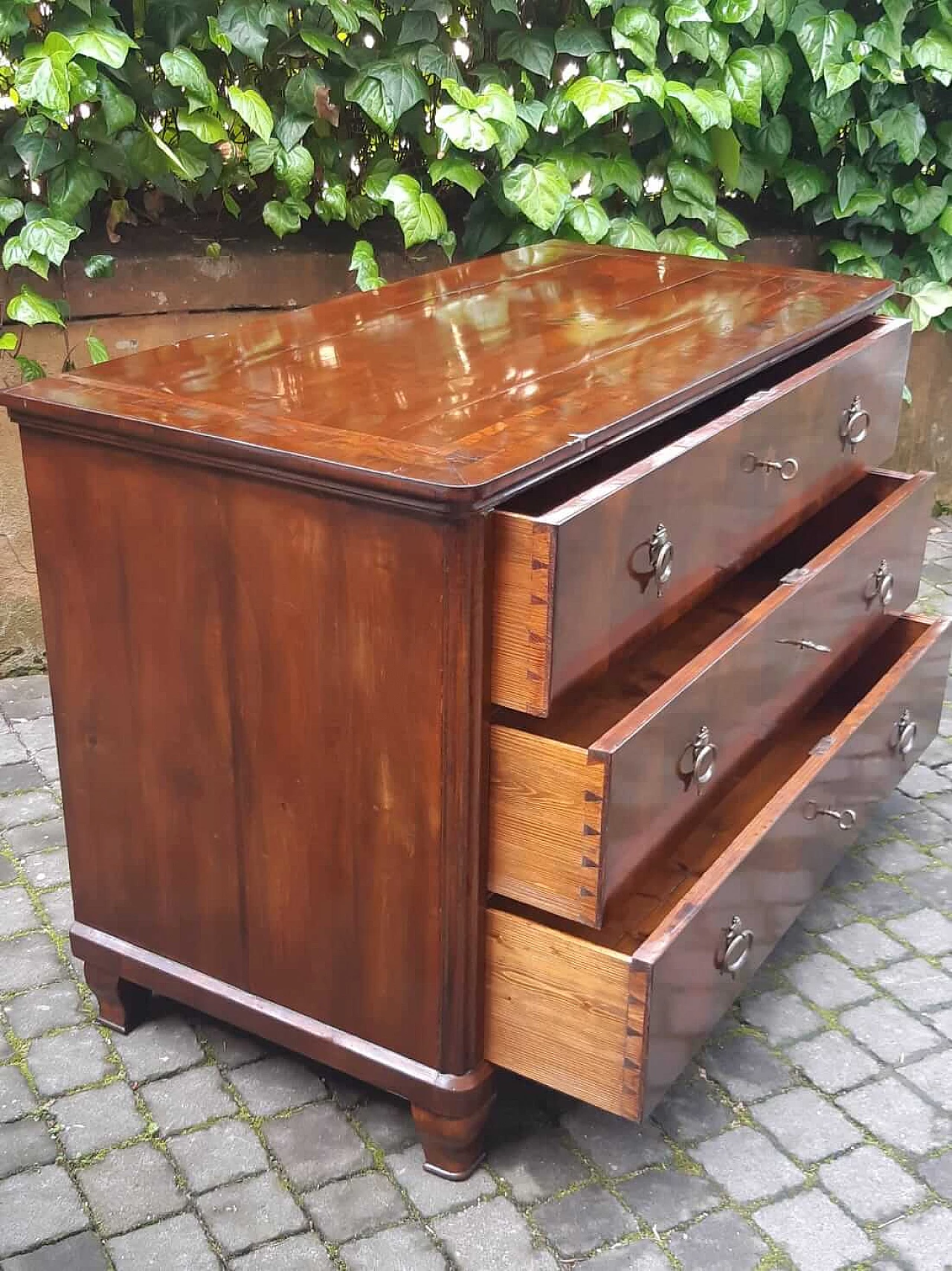 Biedermeier chest of drawers veneered in walnut and briar, 19th century 1303078