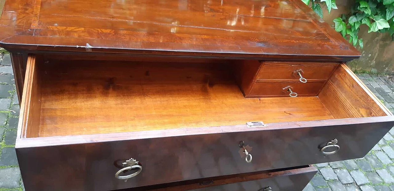 Biedermeier chest of drawers veneered in walnut and briar, 19th century 1303079