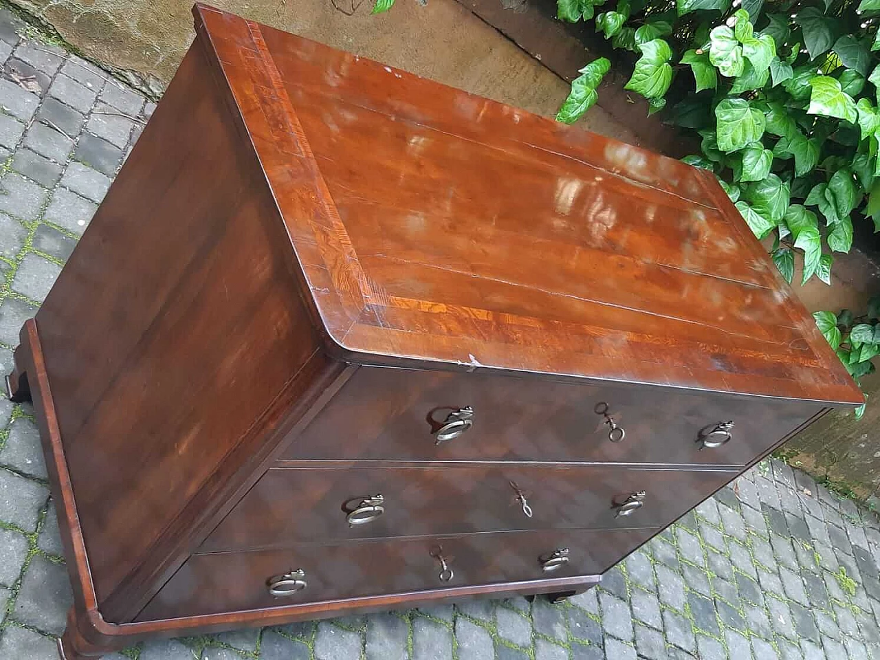 Biedermeier chest of drawers veneered in walnut and briar, 19th century 1303080