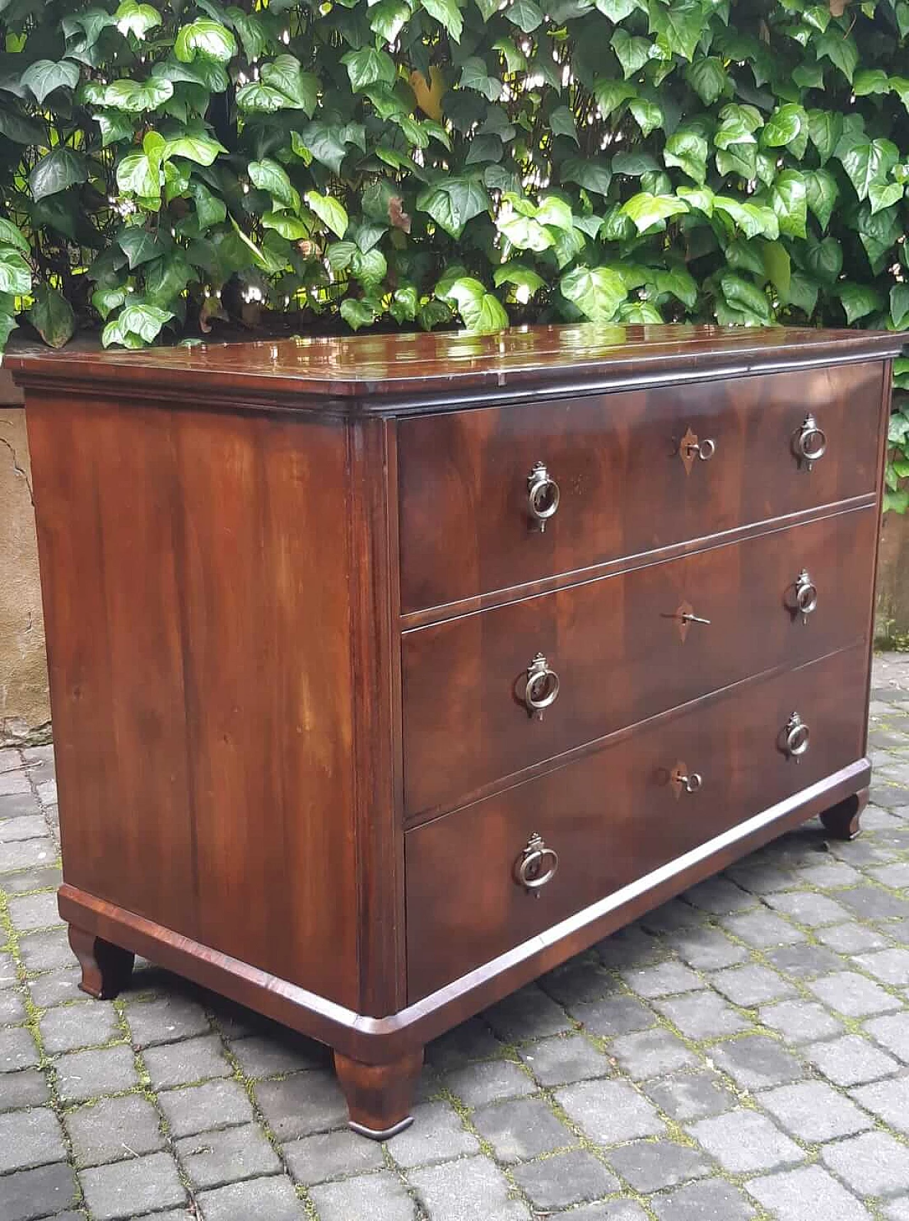 Biedermeier chest of drawers veneered in walnut and briar, 19th century 1303081