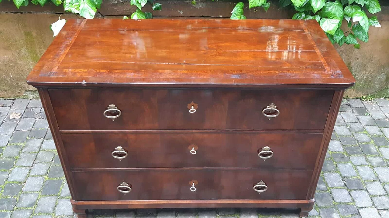 Biedermeier chest of drawers veneered in walnut and briar, 19th century 1303082