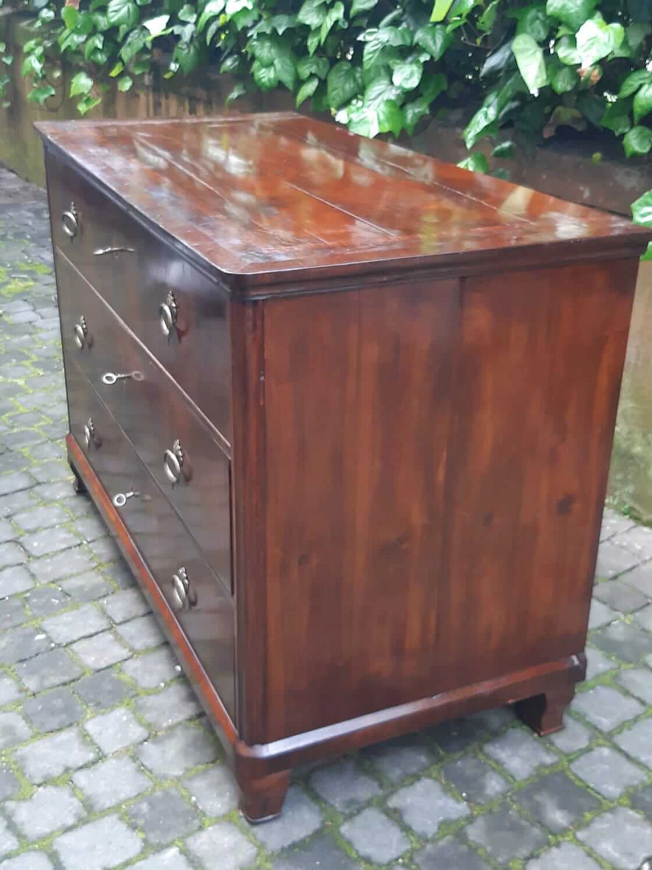 Biedermeier chest of drawers veneered in walnut and briar, 19th century 1303083