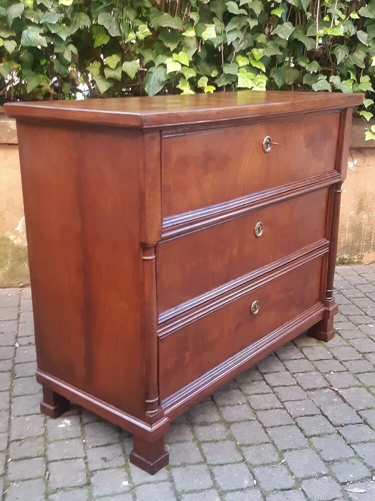 Austrian Empire Napoleonic style chest of drawers in walnut 1303165