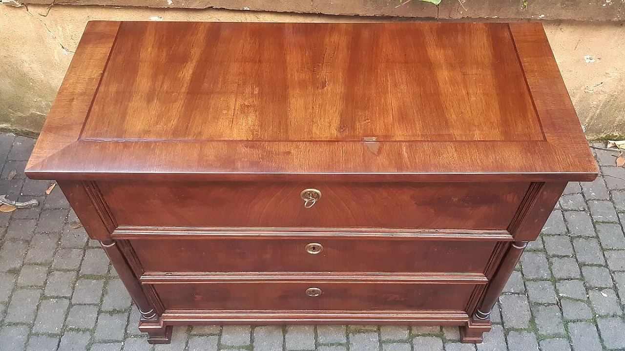 Austrian Empire Napoleonic style chest of drawers in walnut 1303167