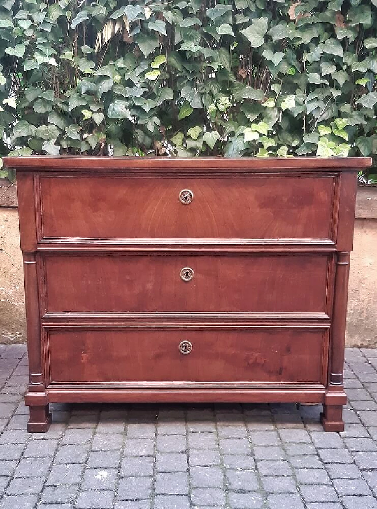 Austrian Empire Napoleonic style chest of drawers in walnut 1303169