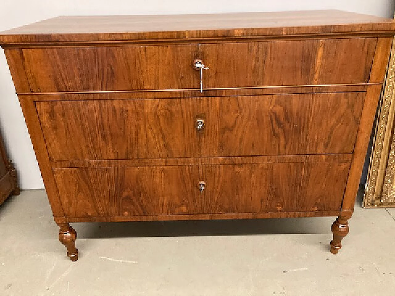 Charles X chest of drawers in solid walnut and slab drawers, Emilia, early '800 1372789