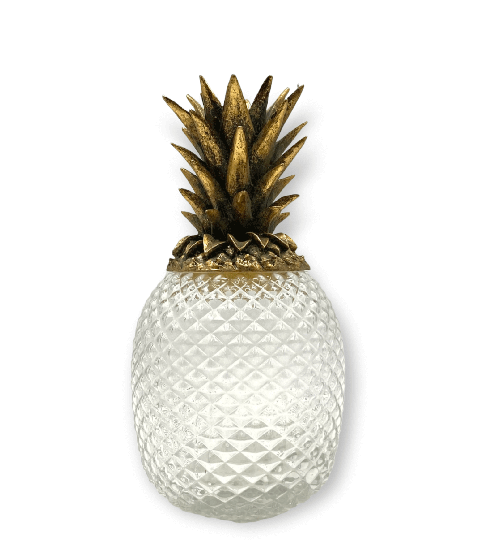 Ananas porta ghiaccio