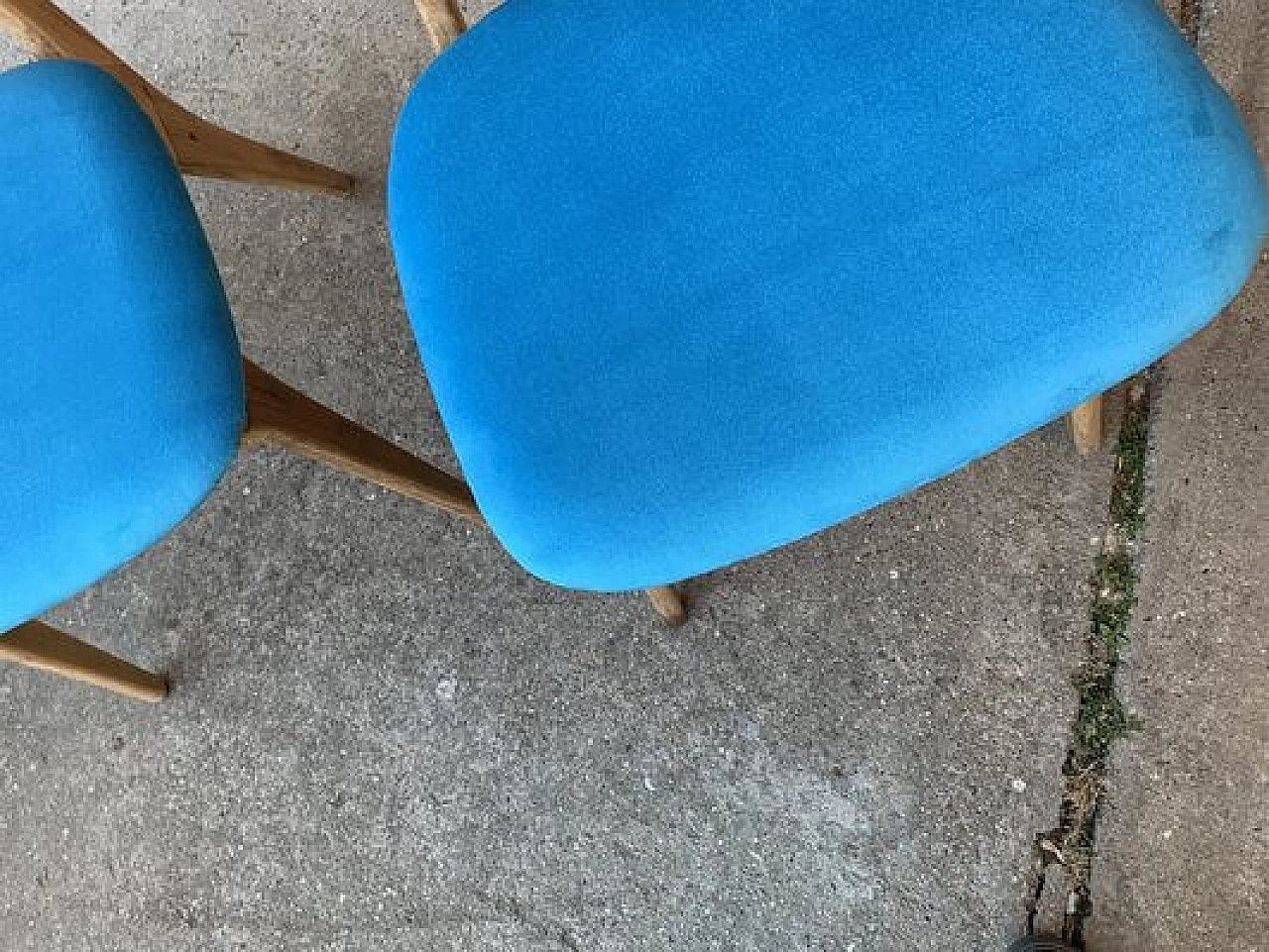 Pair of chairs in wood and light blue velvet, 1960s 3