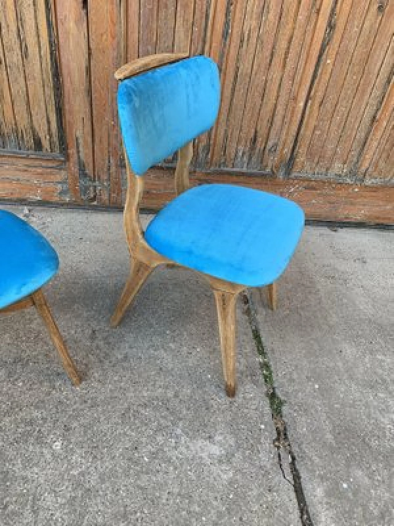 Pair of chairs in wood and light blue velvet, 1960s 4