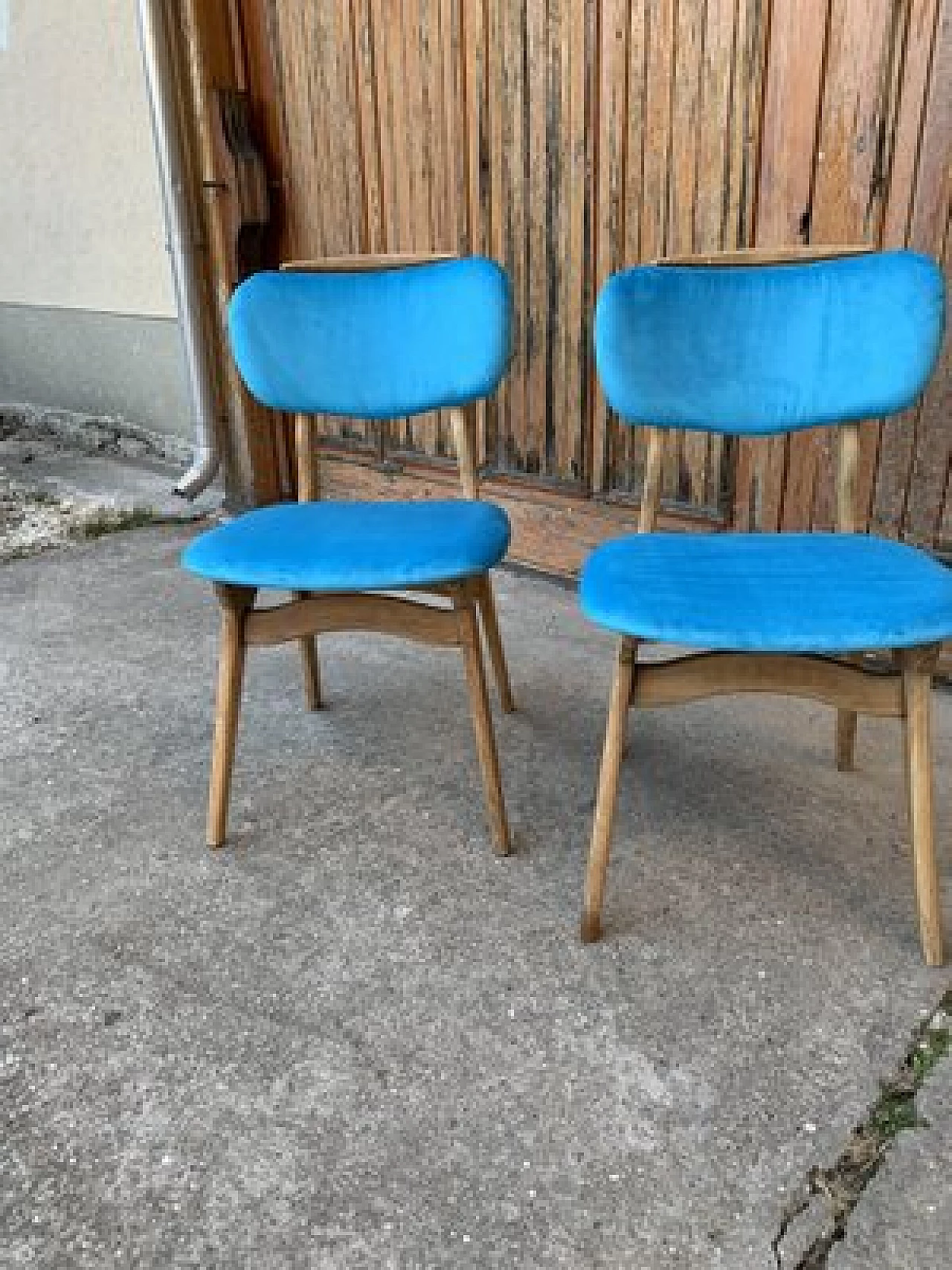 Pair of chairs in wood and light blue velvet, 1960s 5