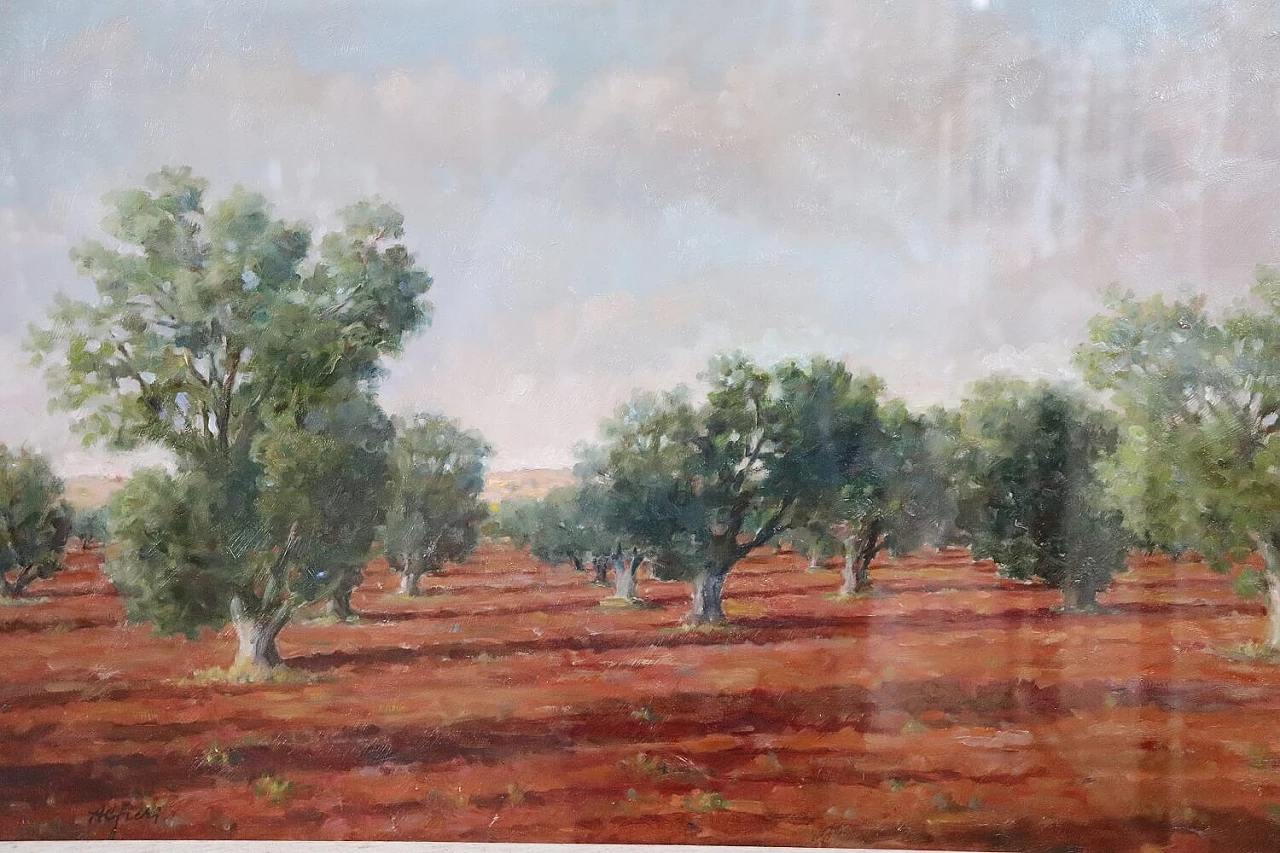 Alfieri Manlio, Olive grove in Tarquinia, oil on canvas, 1970s 2