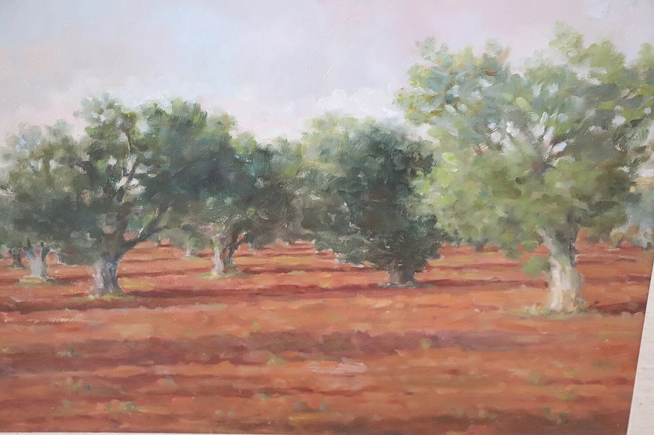 Alfieri Manlio, Olive grove in Tarquinia, oil on canvas, 1970s 6