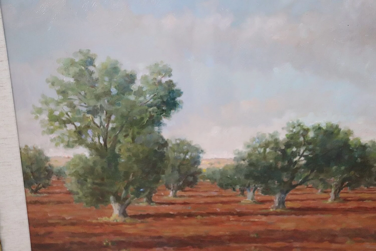 Alfieri Manlio, Olive grove in Tarquinia, oil on canvas, 1970s 7