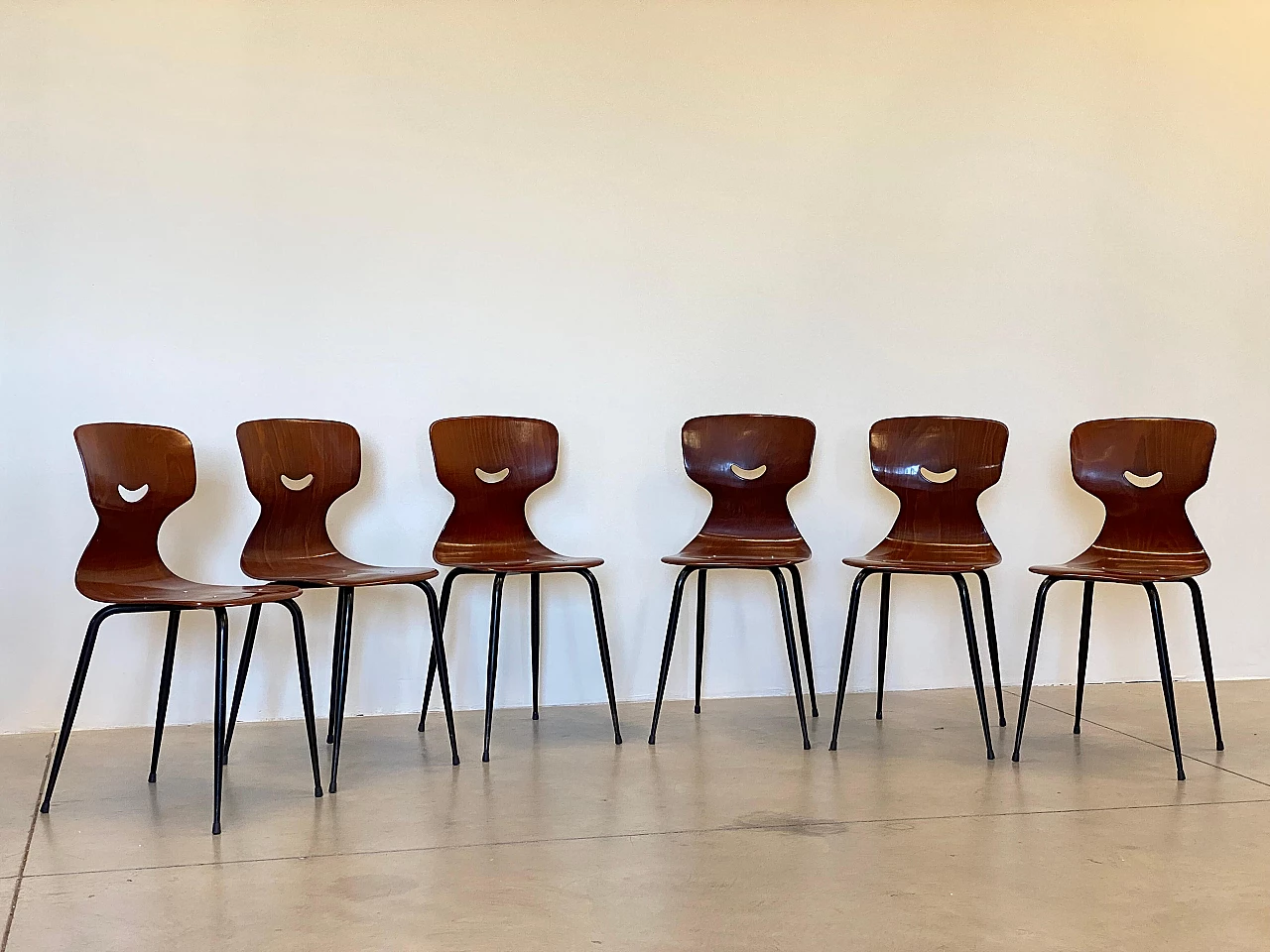 6 Pagholz chairs in curved plywood and metal, 1960s 8