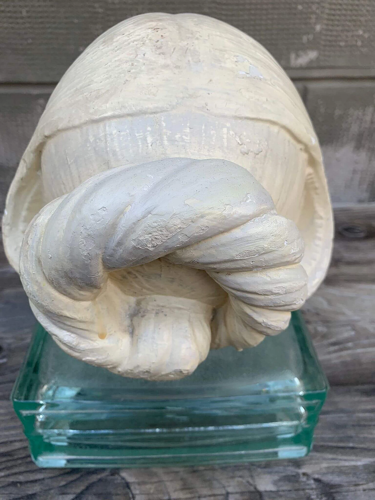 Plaster head of a woman on glass base, early 20th century 3