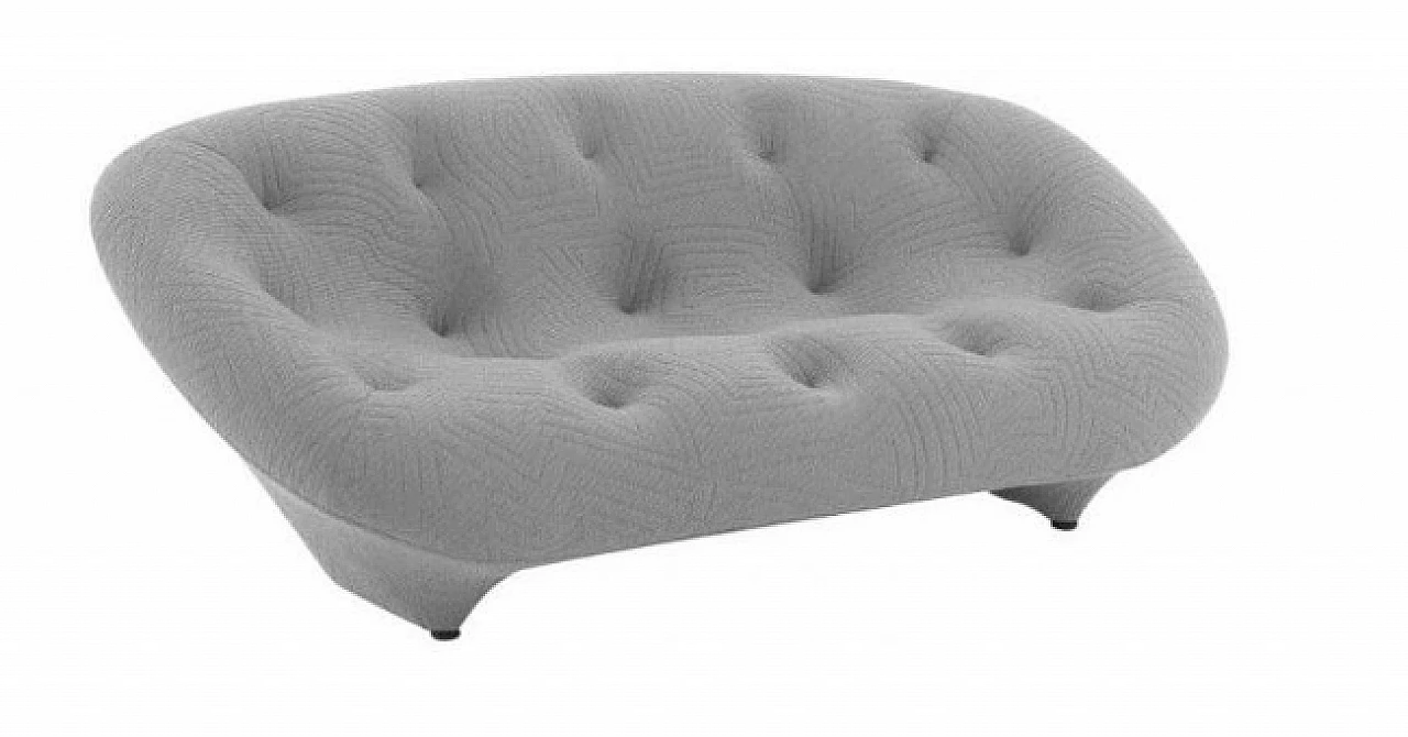 Ploum Appa Ulster sofa by Ligne Roset 9