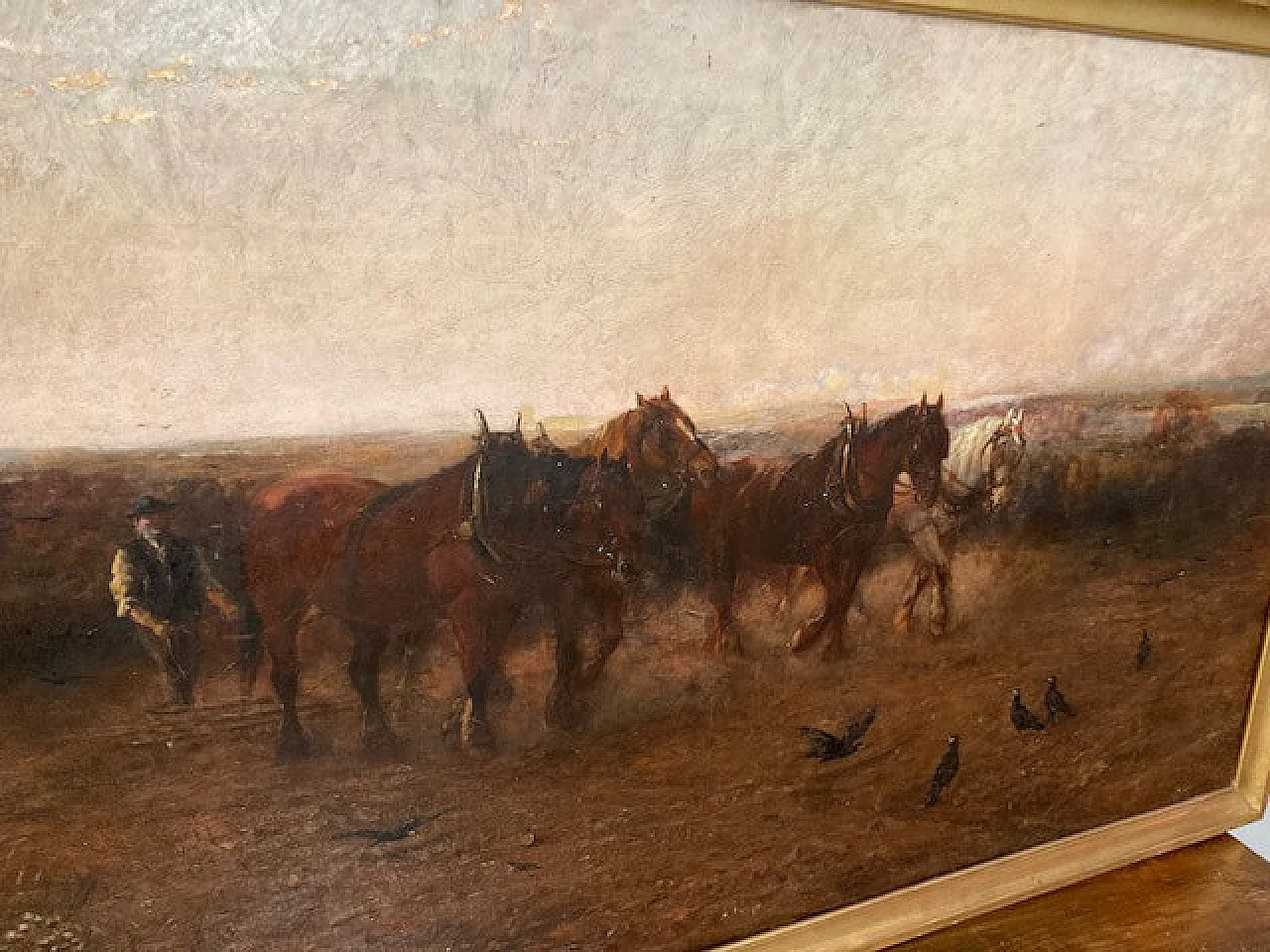 Loraine Nevison Arthur, Landscape with horses, oil on canvas, 1893 7