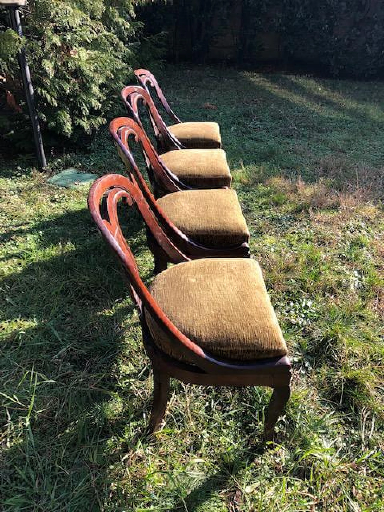 4 Wooden gondola chairs, early 19th century 6