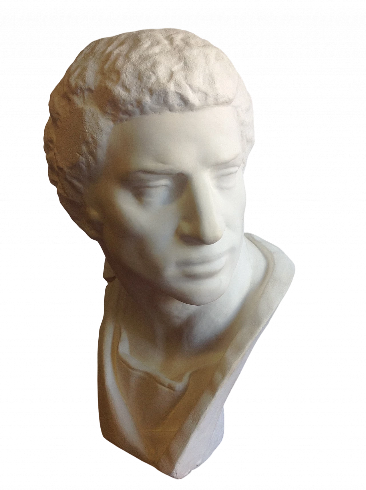 Busto in gesso, anni '50 1202297