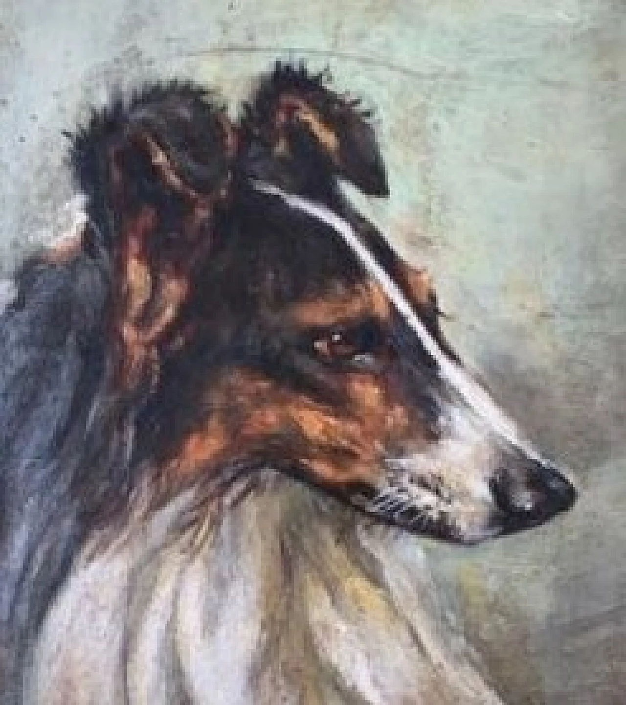 Dog, oil painting on cardboard, early 20th century 1