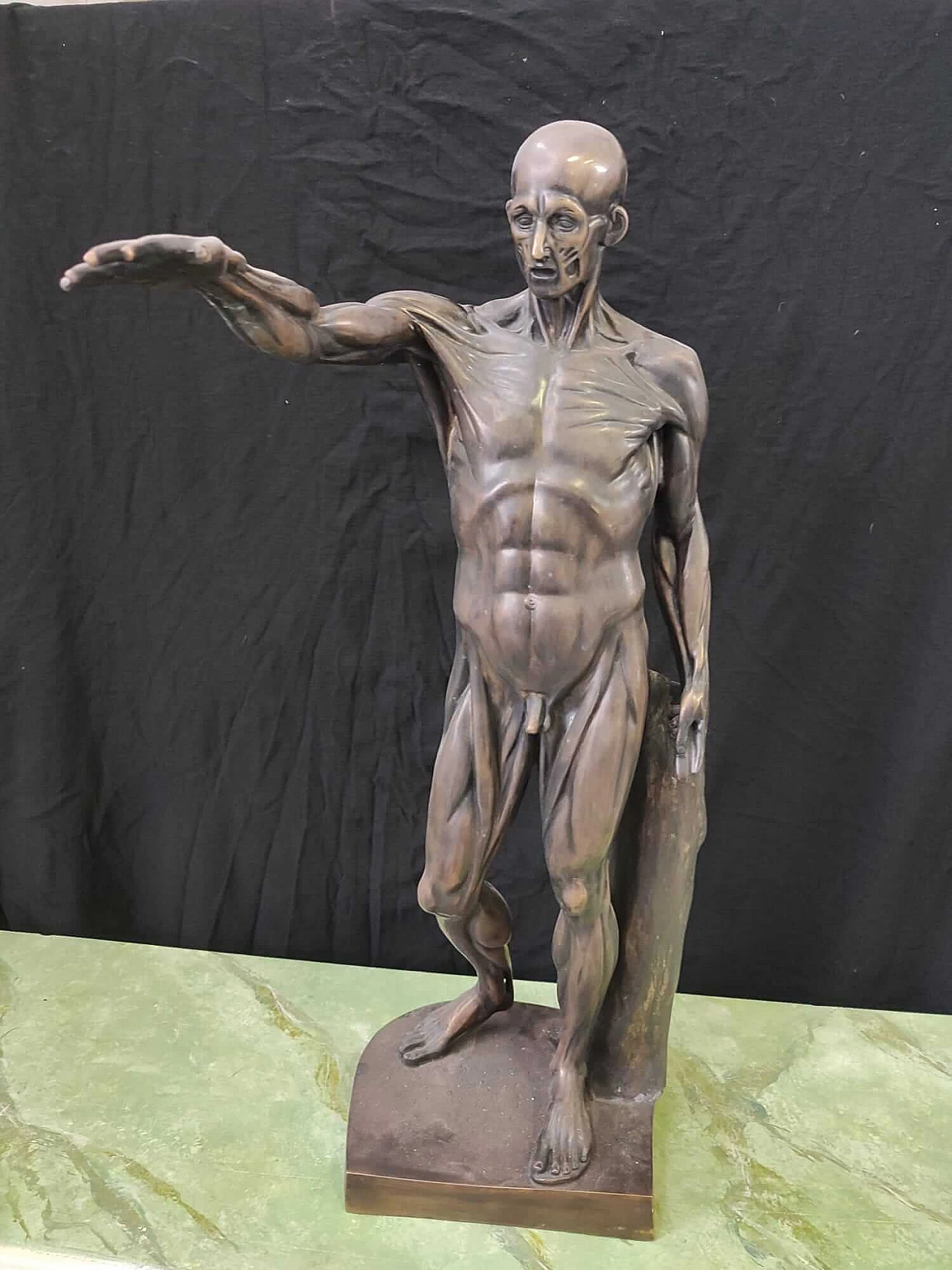 Anatomical bronze sculpture, 2000s 2