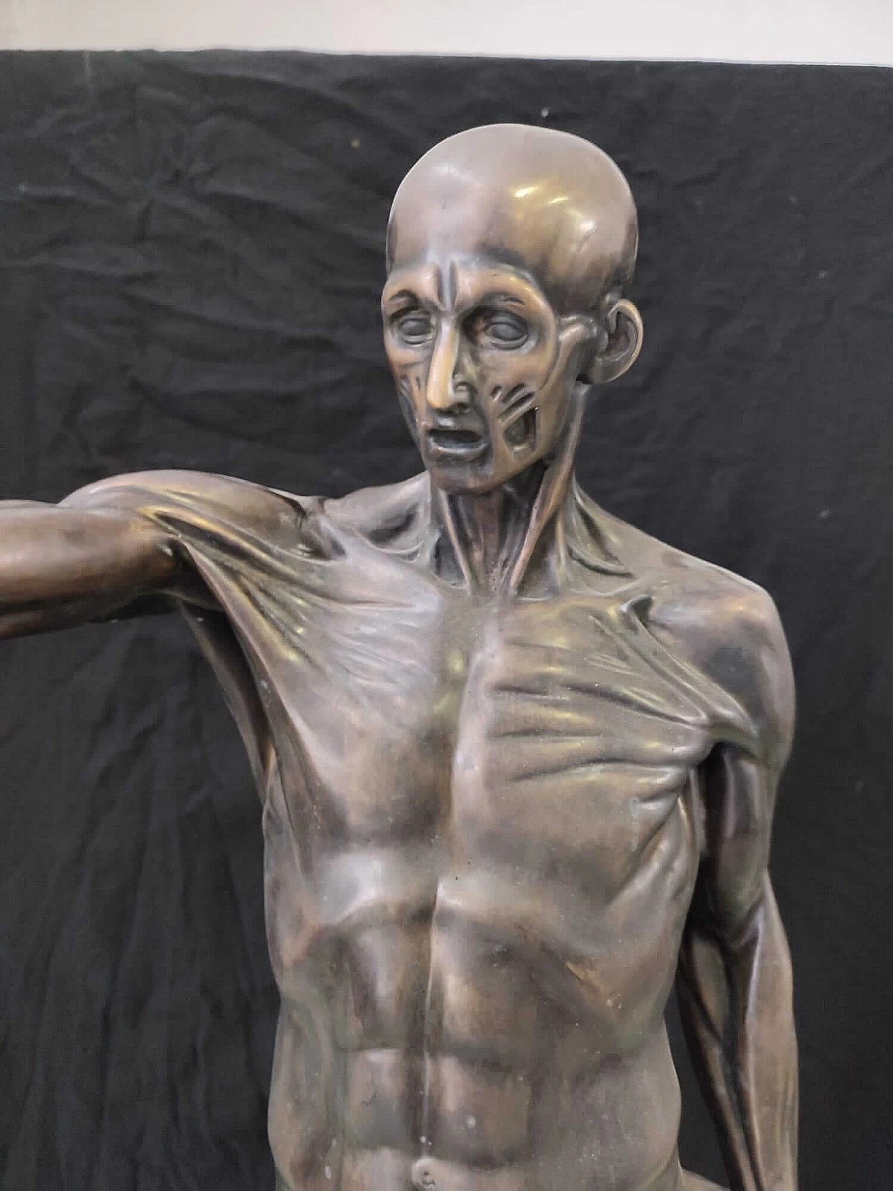 Anatomical bronze sculpture, 2000s 3