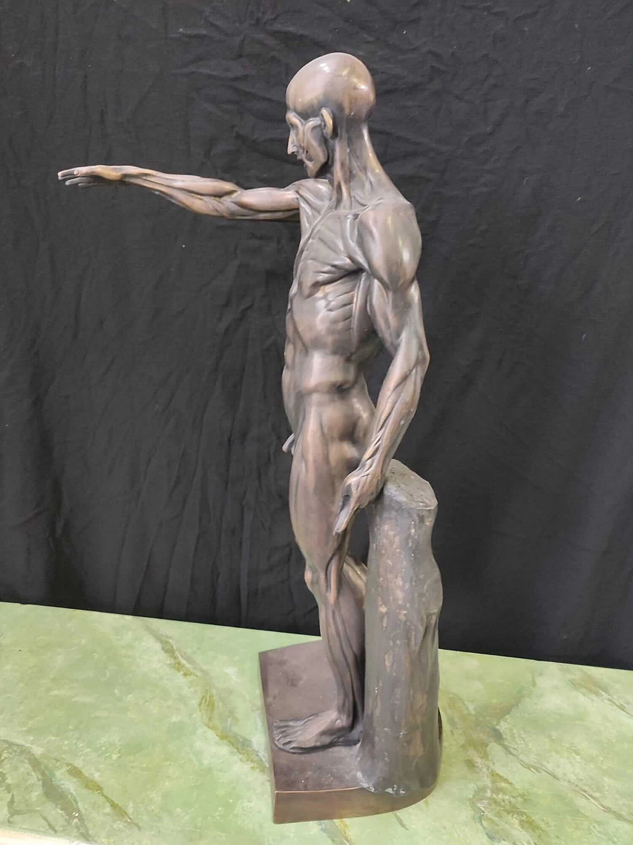 Anatomical bronze sculpture, 2000s 5