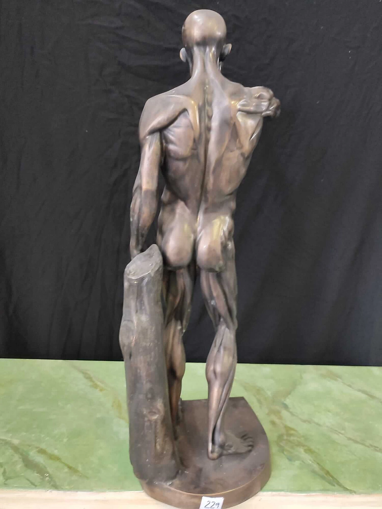 Anatomical bronze sculpture, 2000s 6