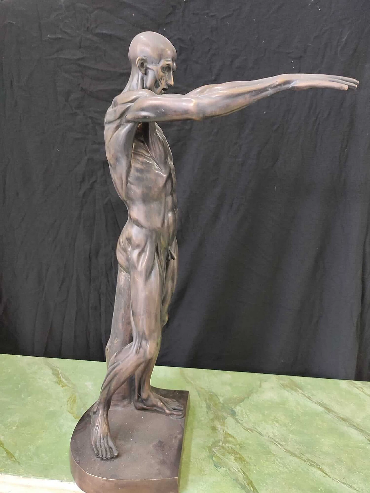 Anatomical bronze sculpture, 2000s 7