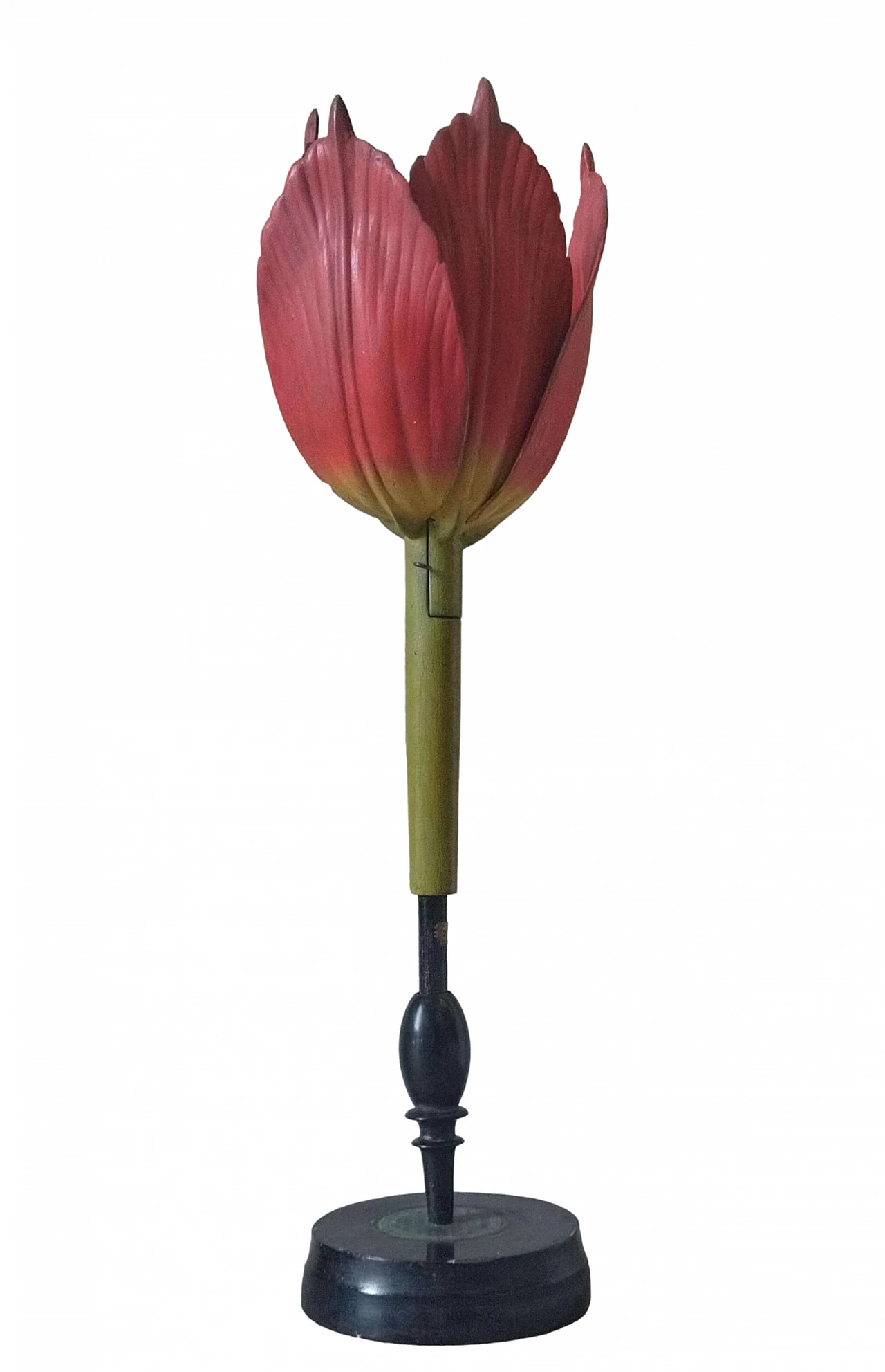 Tulip Generiana botanical model by Robert Brendel & Co., 1960s 2