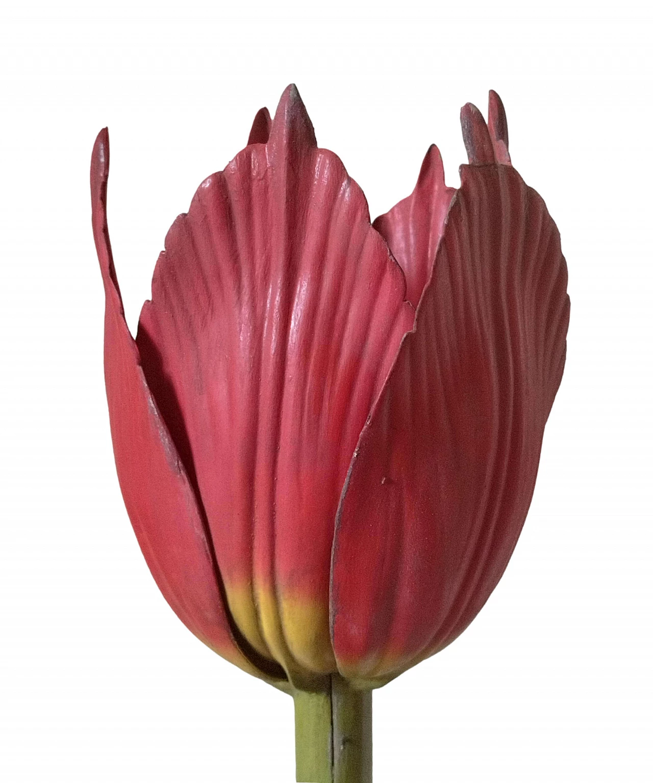 Tulip Generiana botanical model by Robert Brendel & Co., 1960s 3