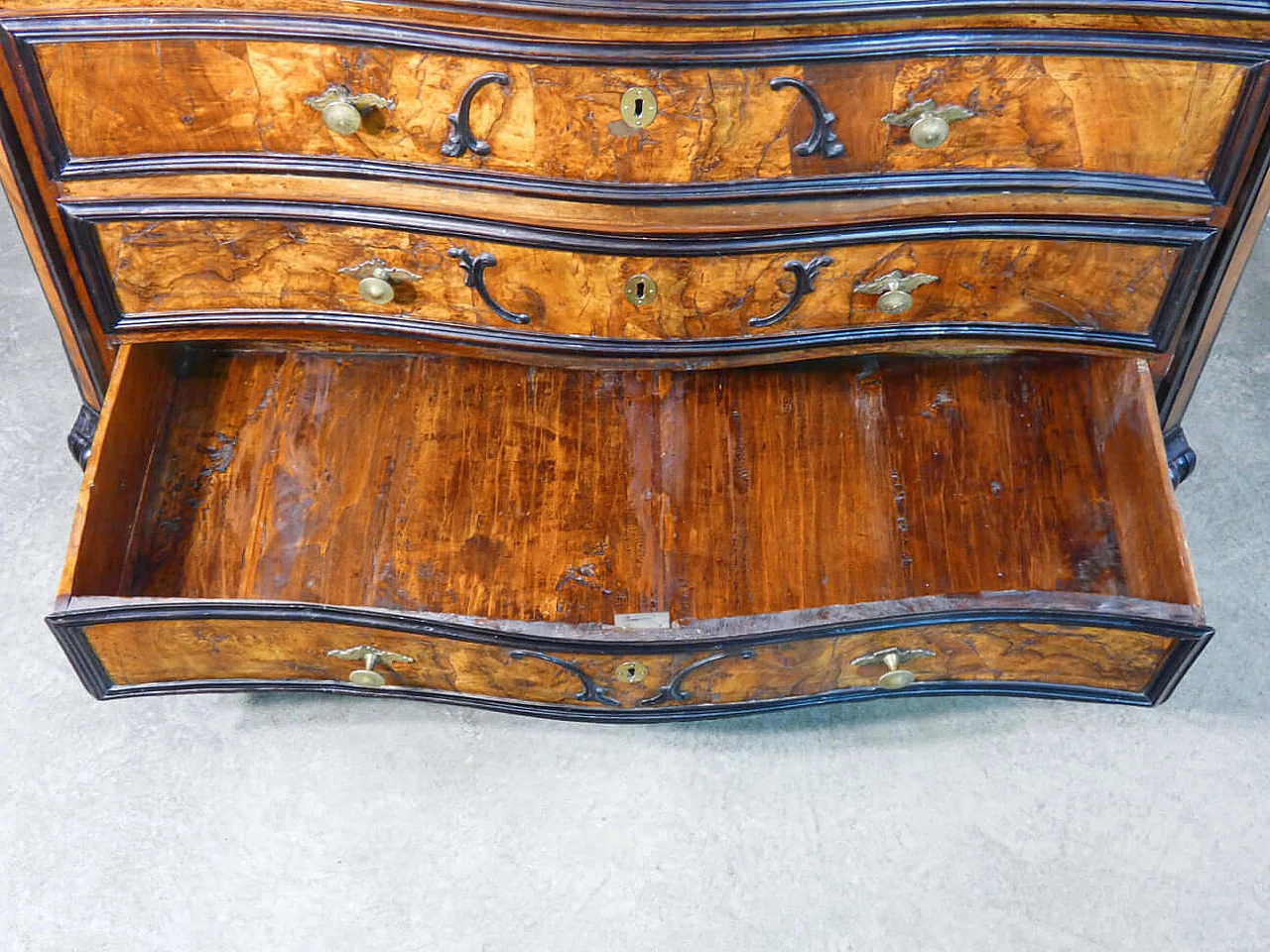 Louis XIV chest of drawers in wood and walnut root with ebonised details, 18th century 8