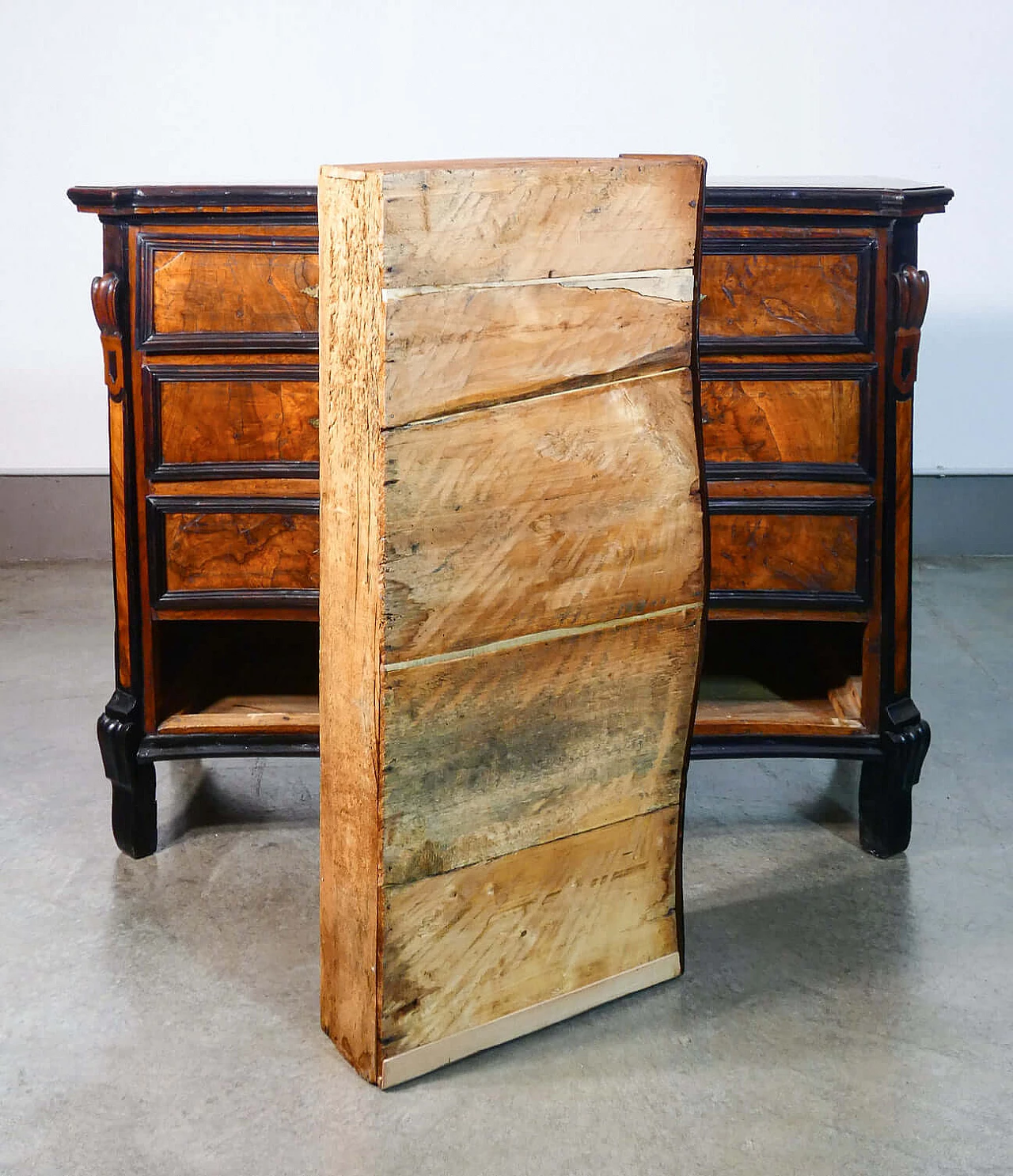 Louis XIV chest of drawers in wood and walnut root with ebonised details, 18th century 9