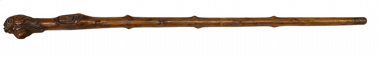 Elm stick, 19th century 5