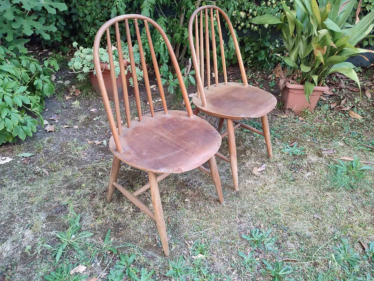 Pair of wood Windsor chairs, 1960s 10