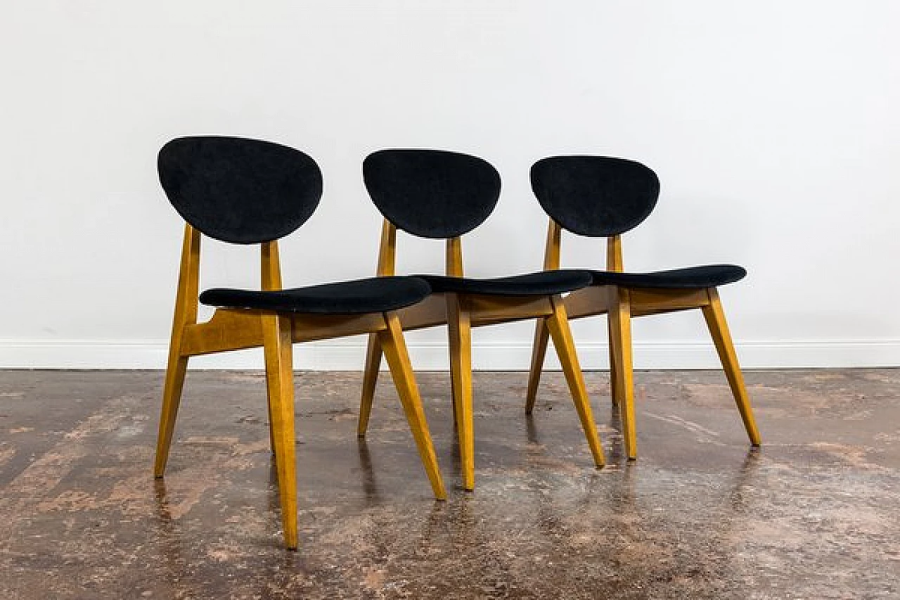 3 Chairs in beech and black fabric by Juliusz Kędziorek, 1960s 1