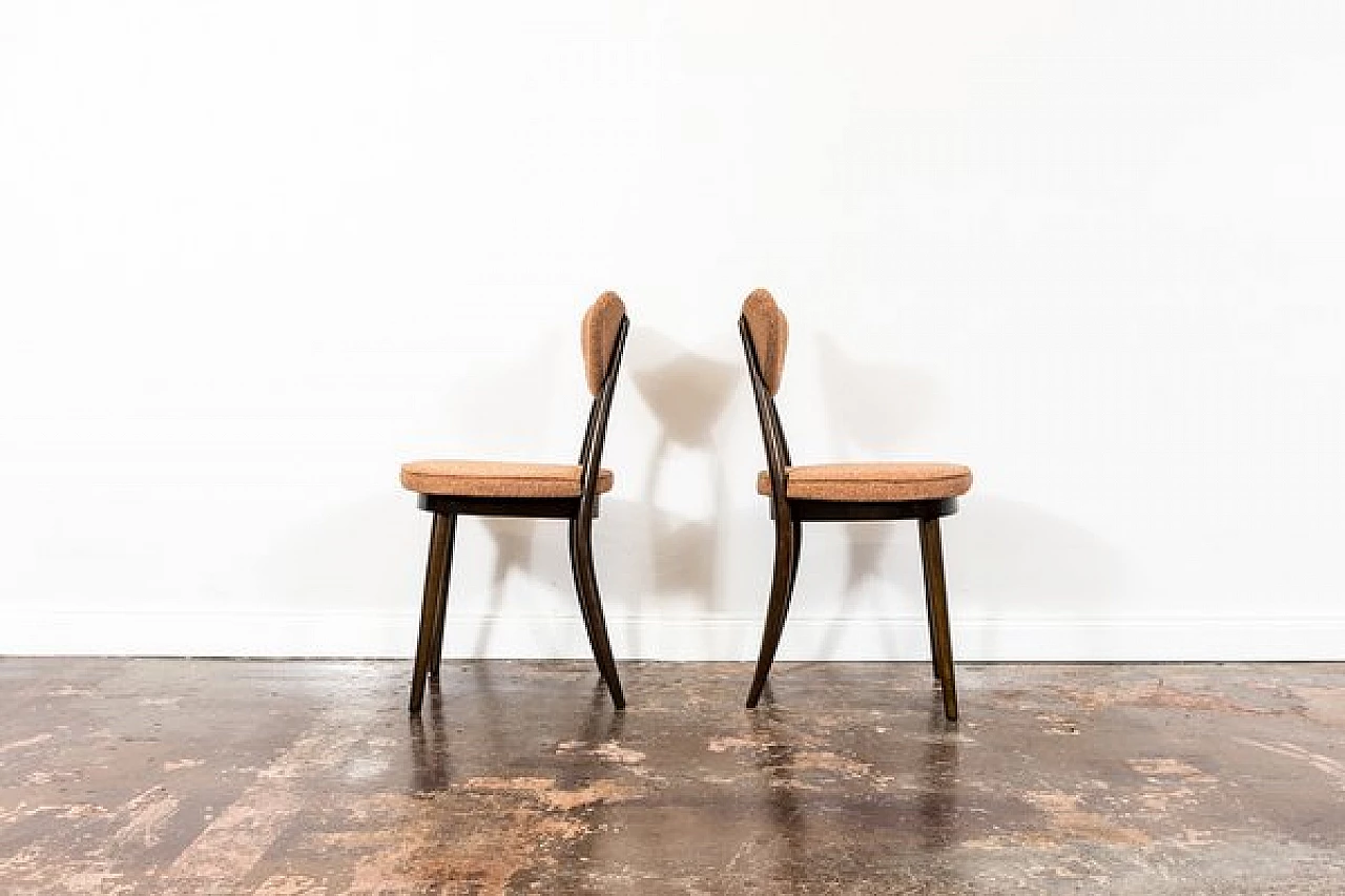 5 Dining chairs 124 by Helena & Jerzy Kurmanowicz, 1960s 14