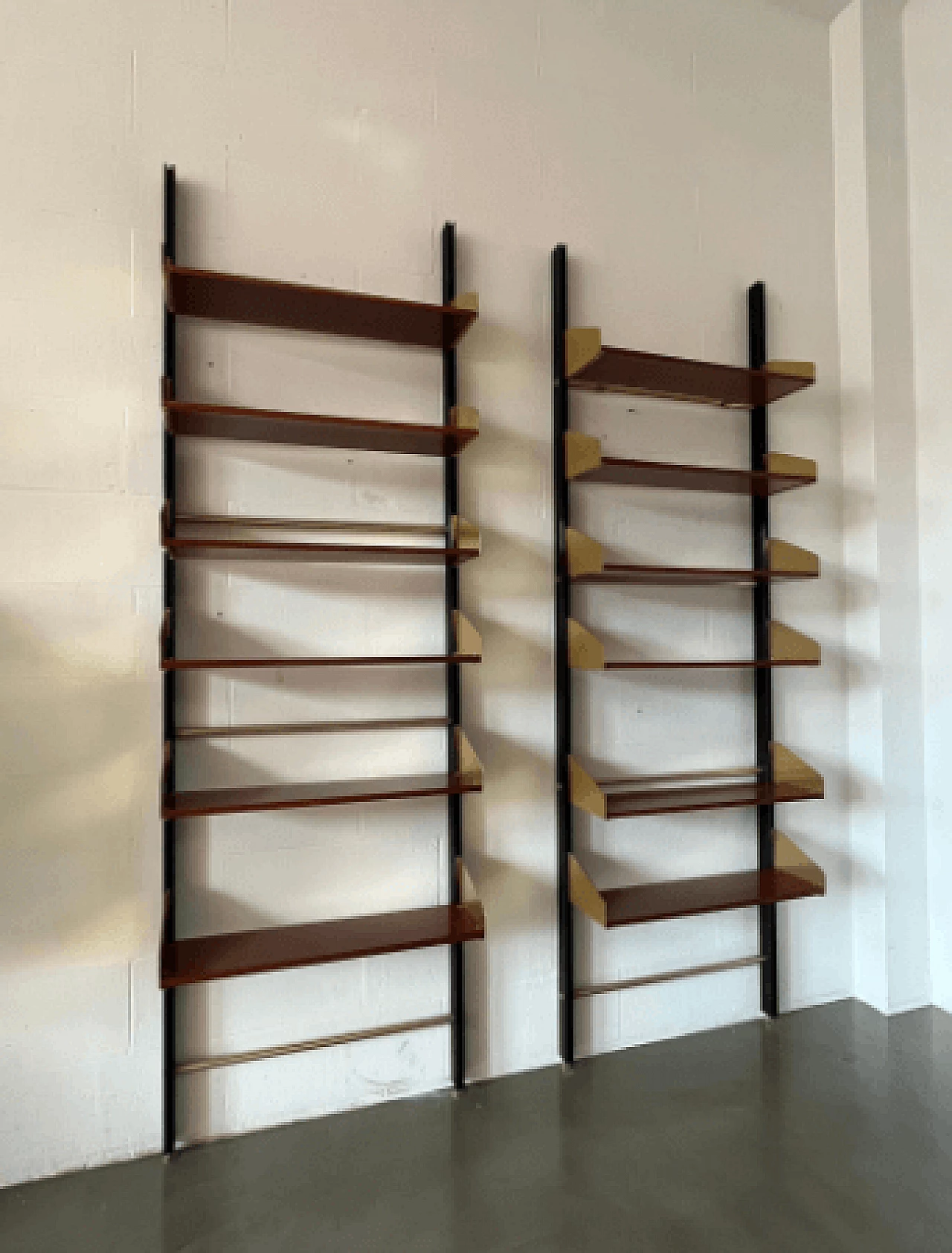 Pair of wood, brass and aluminum bookcases by Feal, 1960s 1