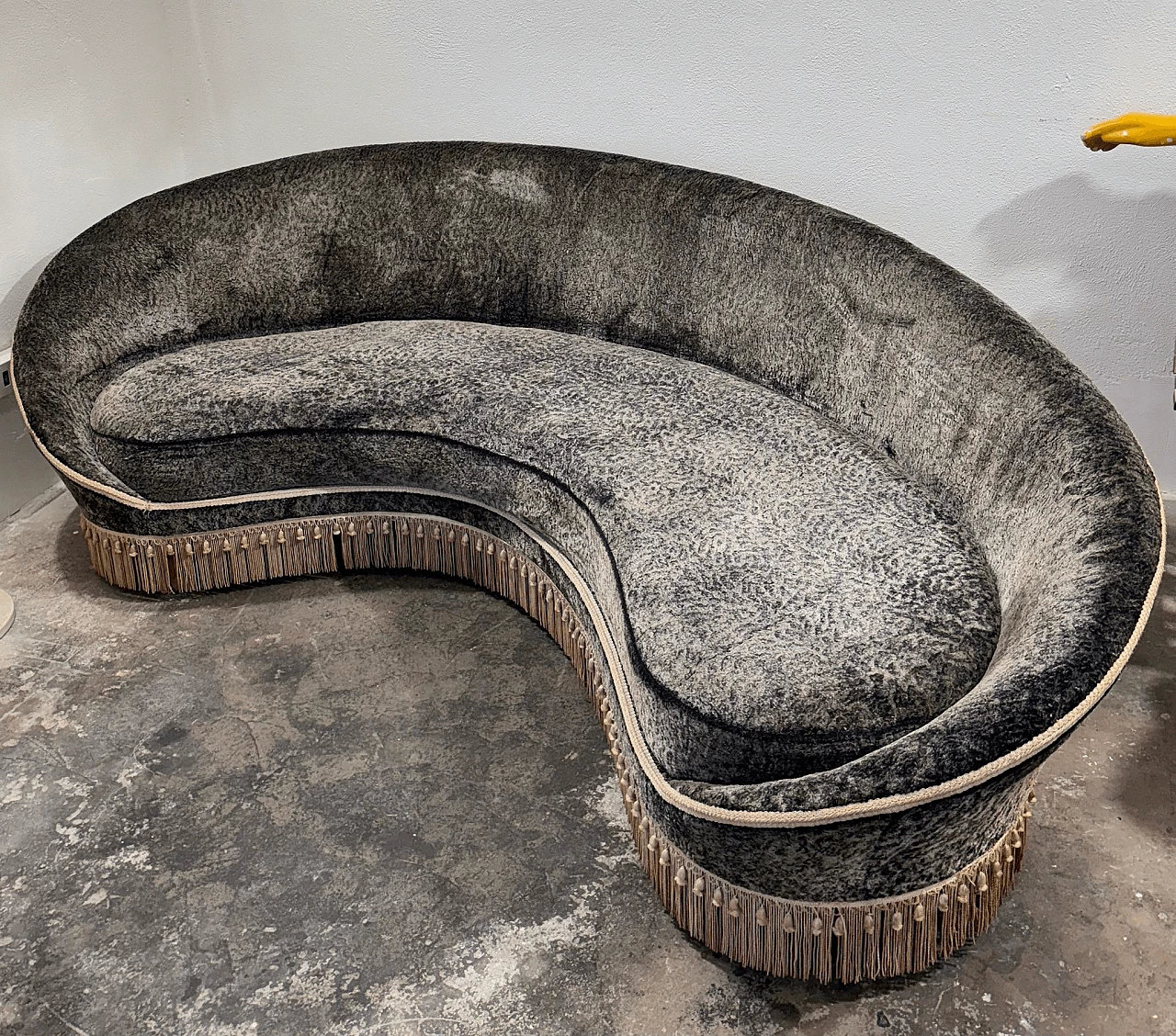 Bentwood and gray Alcantara Virgola sofa by Federico Munari, 1950s 4