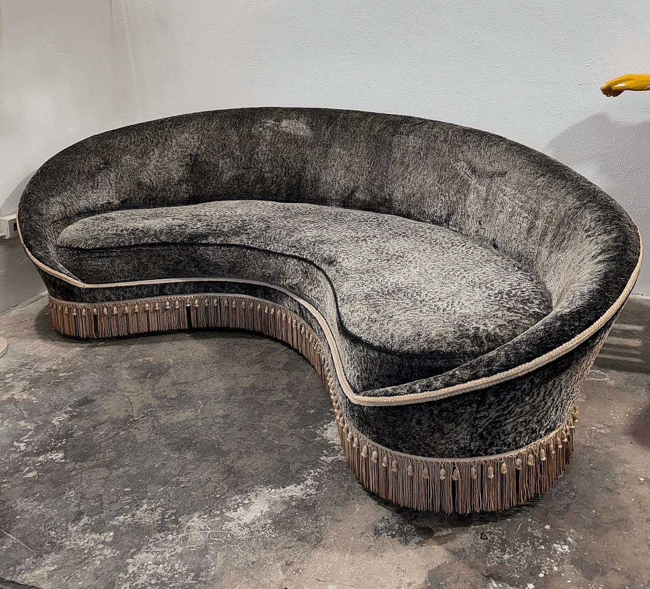 Bentwood and gray Alcantara Virgola sofa by Federico Munari, 1950s 6