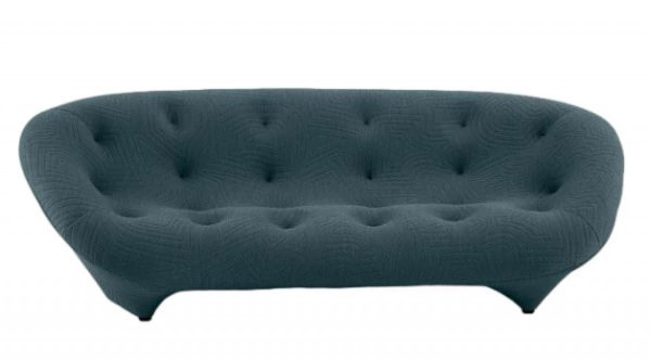 Ploum sofa by Ligne Roset, 2000s 1