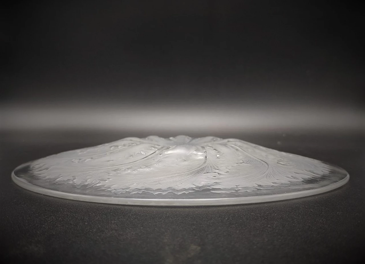 Chicoree plate in opalescent glass by Lalique, 1920s 4